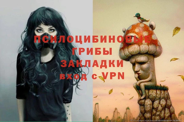 шишки Баксан